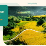 Agence locale Vietnam : tendances du tourisme Vietnam