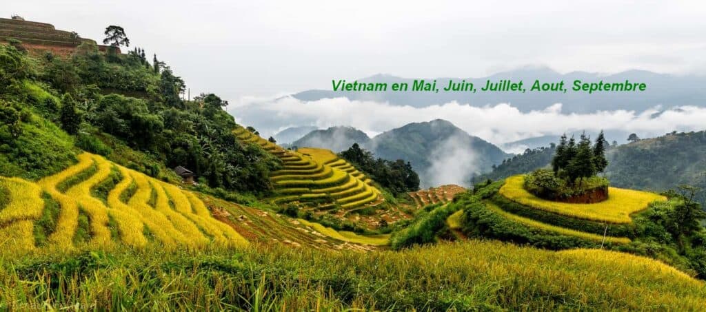 Paysage de rizières en terrasses dans les montagnes du Vietnam.